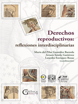 cover image of Derechos reproductivos